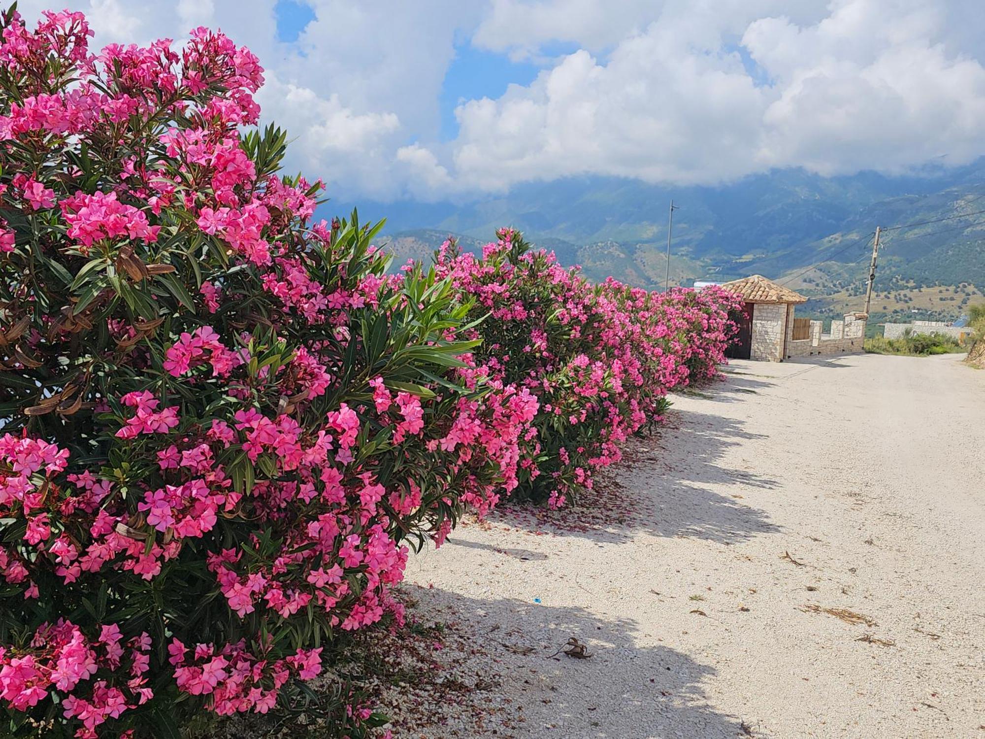 Argileos Appartement Himare Buitenkant foto